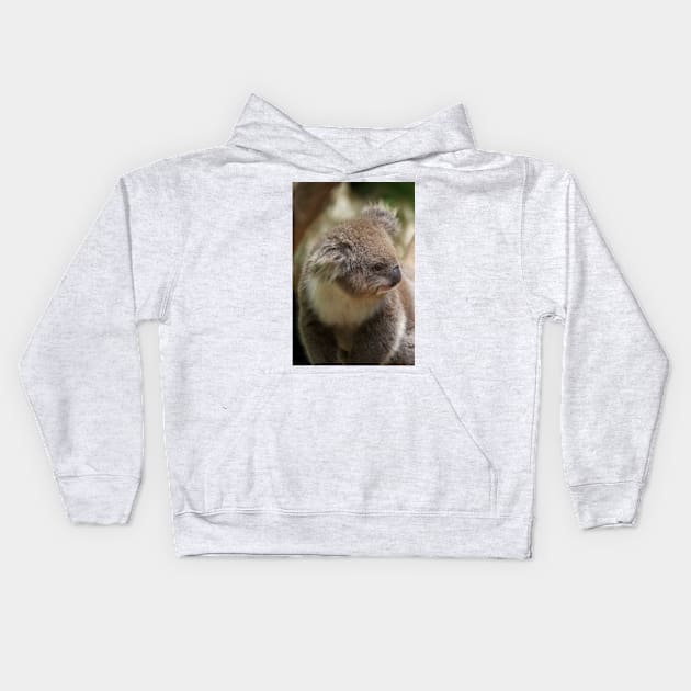 Koala In Profile Kids Hoodie by GP1746